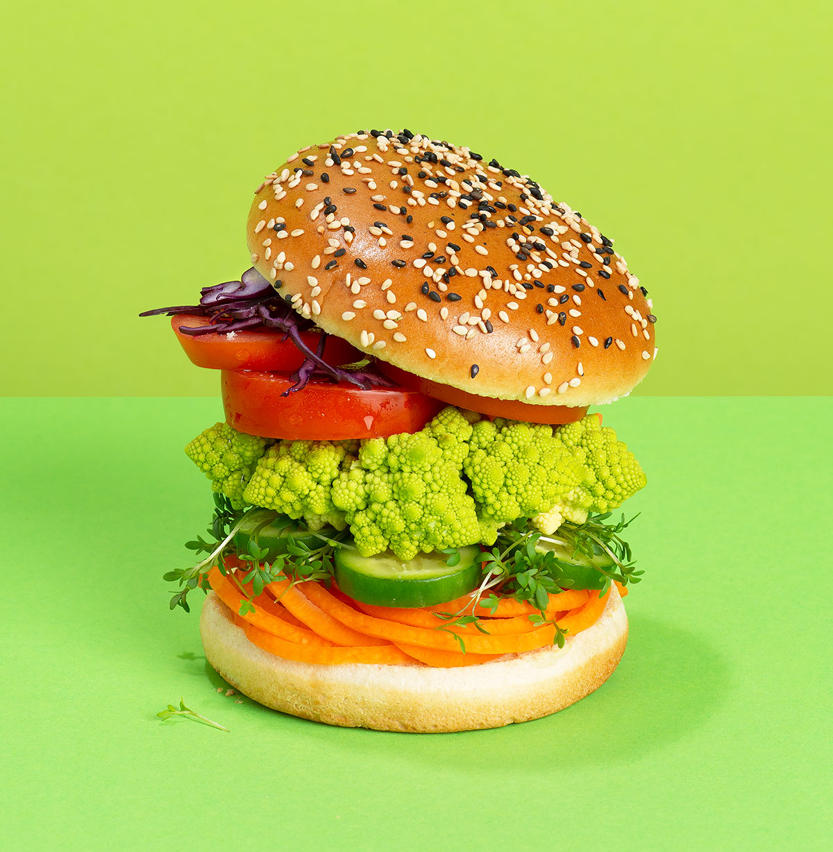 Veggie Fast Food Burger