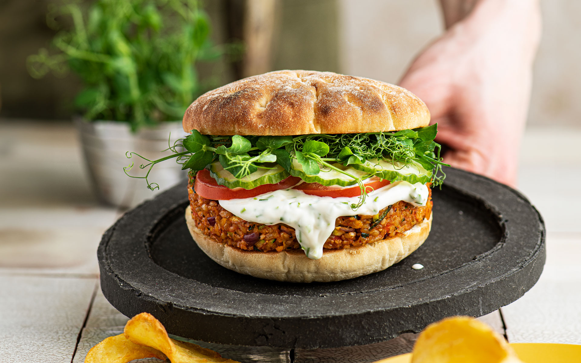 250312_rezeptbild_mestemacher_zucchini_paprika_bulgur_burger_quer