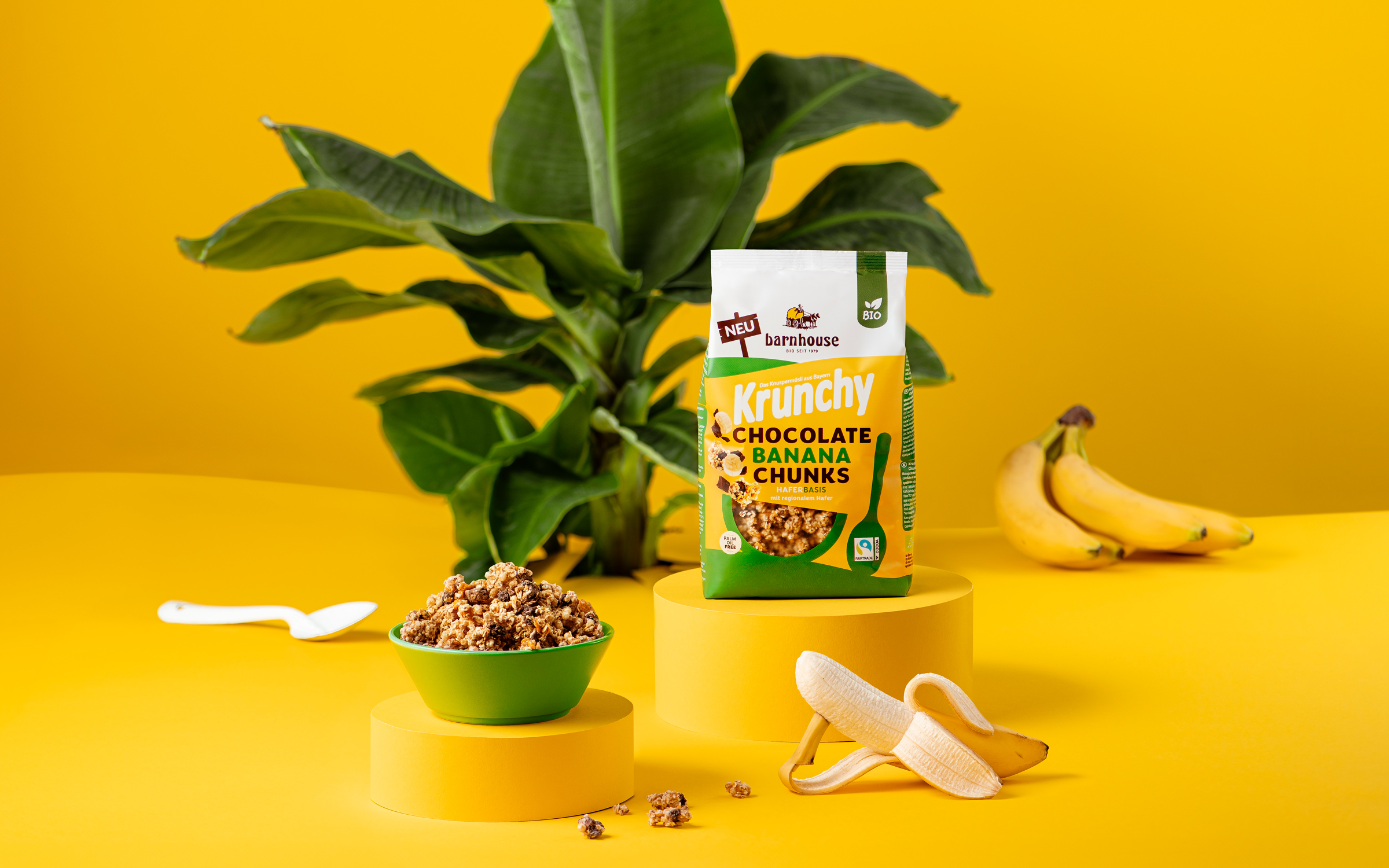 241212_bh_krunchy_chocolate_banana_chunks_podeste_pflanze
